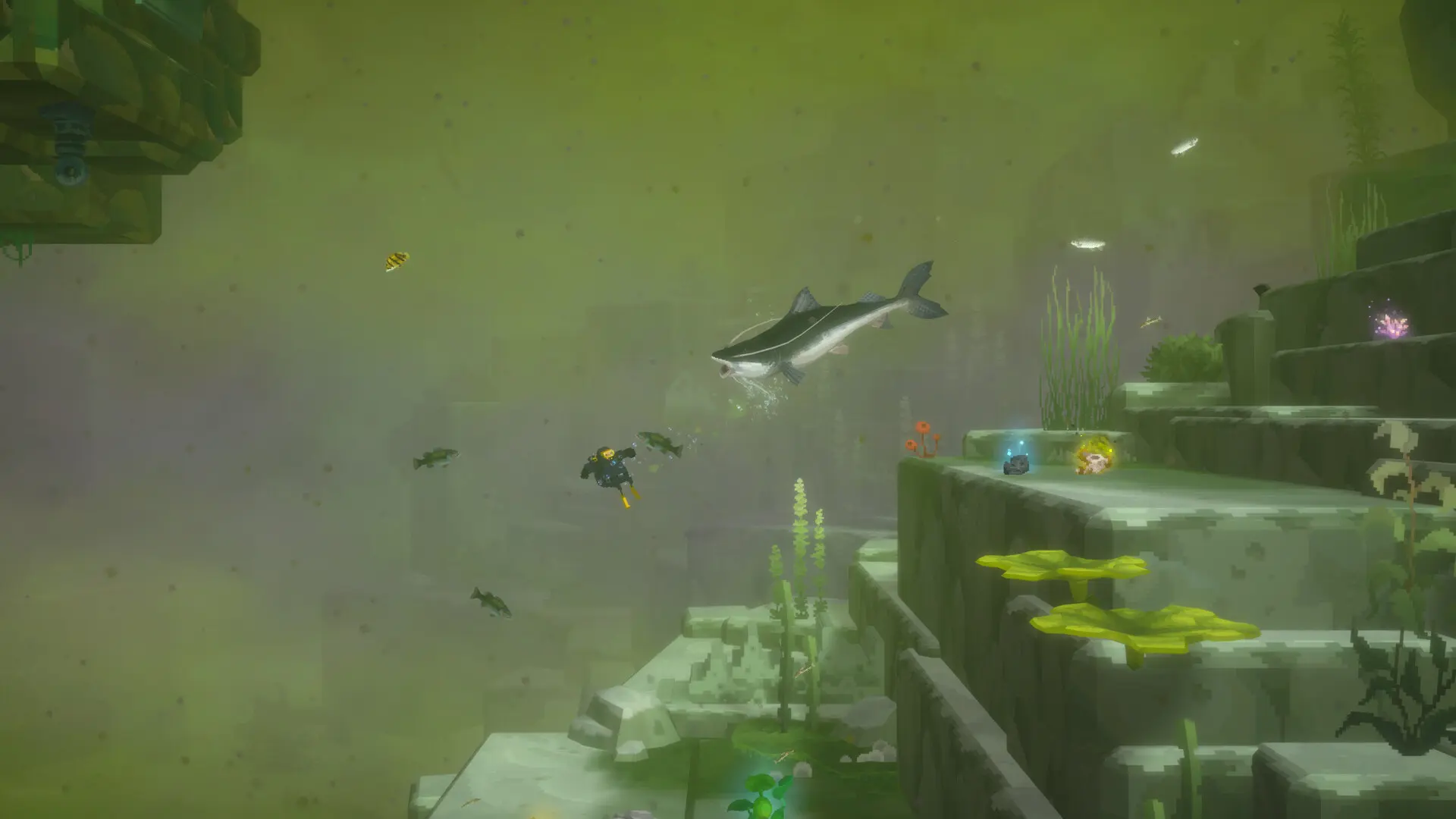 Review DAVE THE DIVER - In the Jungle Content Pack 8 dg